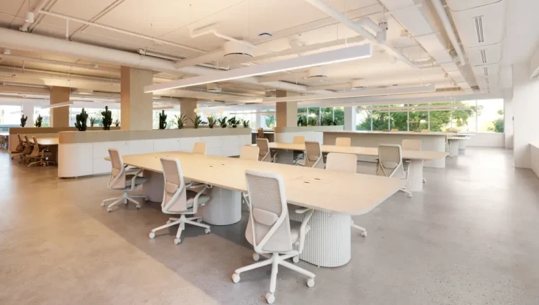 White Fox Boutique Headquarter, Sydney Featured Image