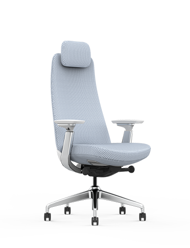 YUCAN Ergonomic Office Chair Featured Image